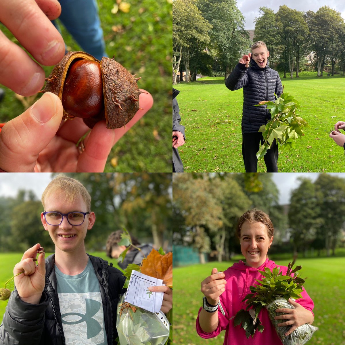 YsgolHenFelin's tweet image. We have been Identifying British trees 🌳 for our DofE Gold and Leadership group. We are then using the leaves 🍃 to create art work. We are developing this by looking at the positive impact trees have on our environment  🌎 #dfe #outdoorlearning #ALN #environment