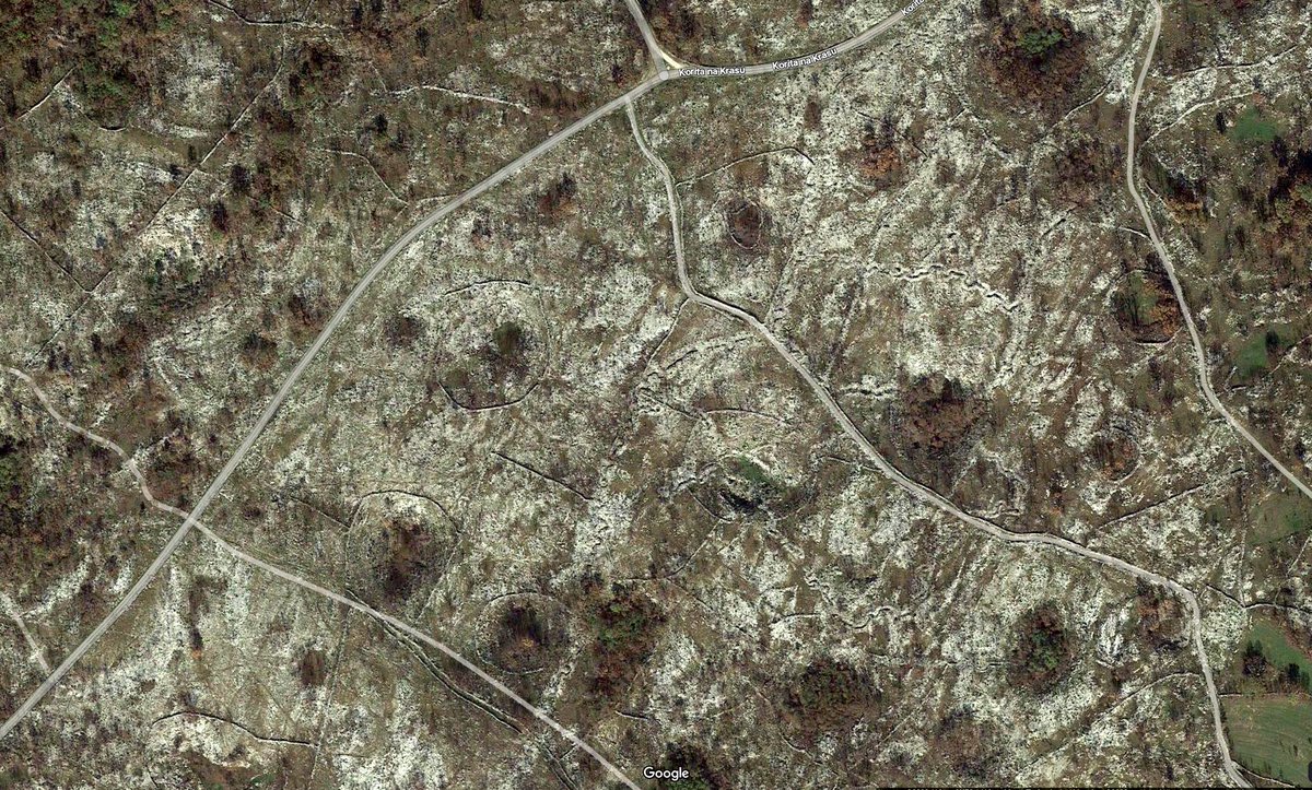 masaccio60's tweet image. That you can see an almost untouched WW1 battlefield on Google maps (SW of Korita na Krasu) is quite extraordinary. These trenches date from the 11th Isonzo (August 1917). The circular enclosures are abandoned cultivated dolines. A very unworldly landscape. #Isonzo