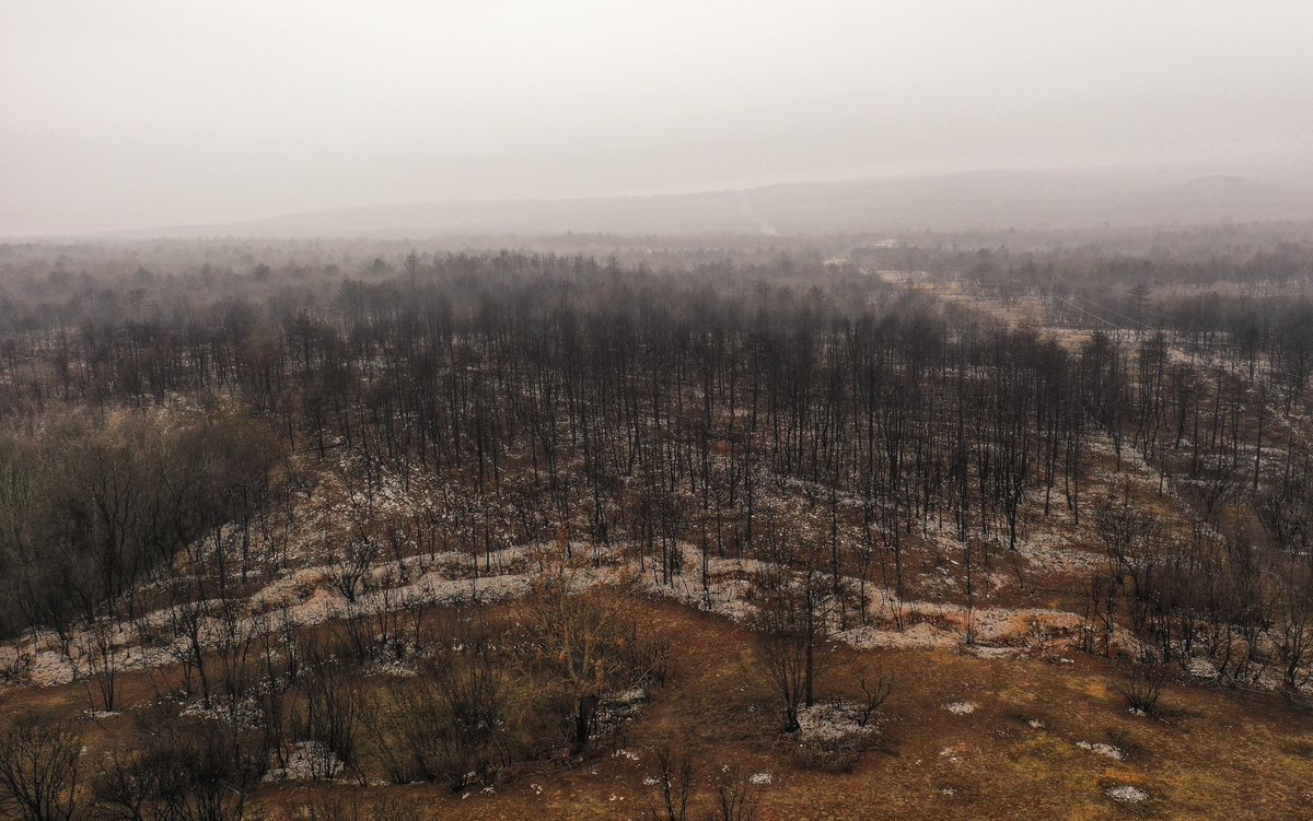 masaccio60's tweet image. That you can see an almost untouched WW1 battlefield on Google maps (SW of Korita na Krasu) is quite extraordinary. These trenches date from the 11th Isonzo (August 1917). The circular enclosures are abandoned cultivated dolines. A very unworldly landscape. #Isonzo