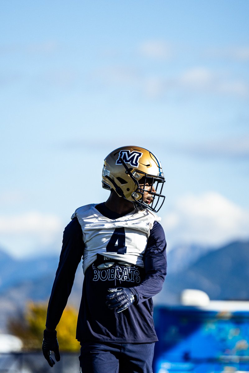 Montana State Football tweet media