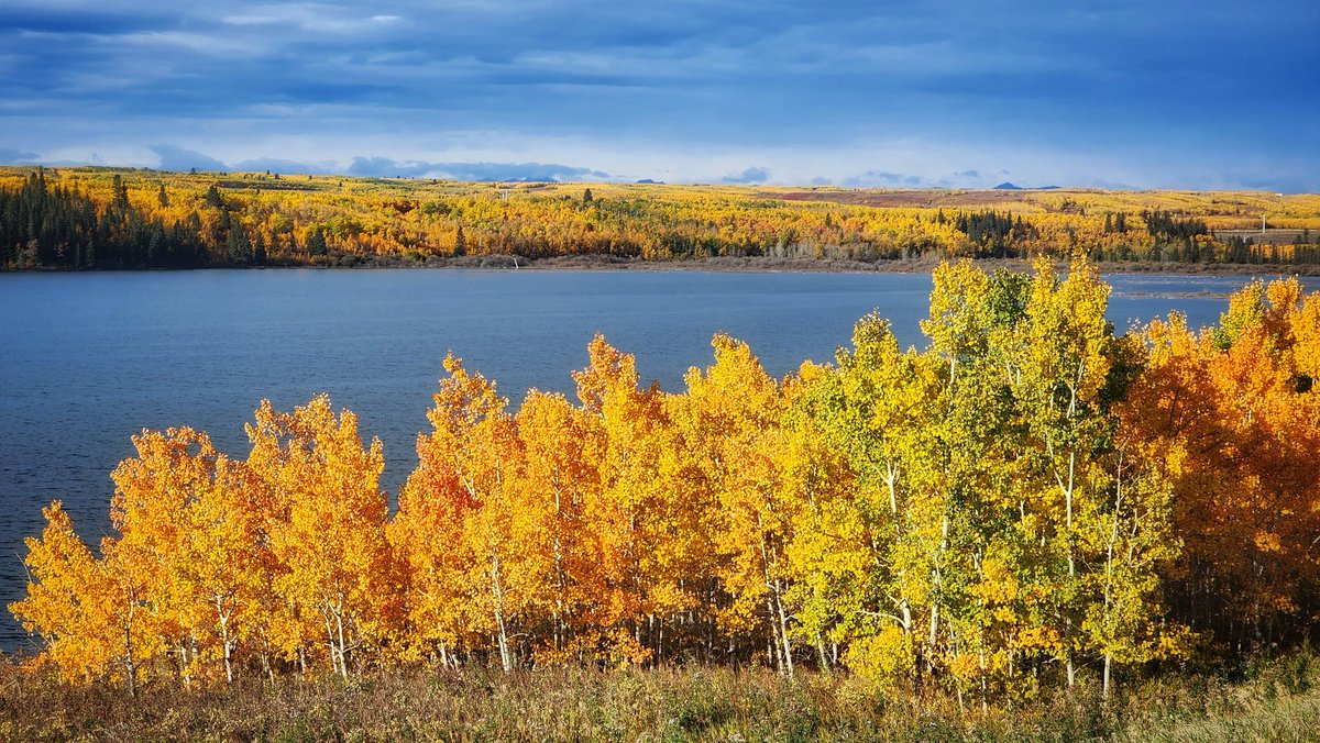 BadWeatherKyle's tweet photo. UNREAL morning in Calgary...

Tsuut'ina Nation is LIT with fall colour! #yyc https://t.co/sCaVoln2cB