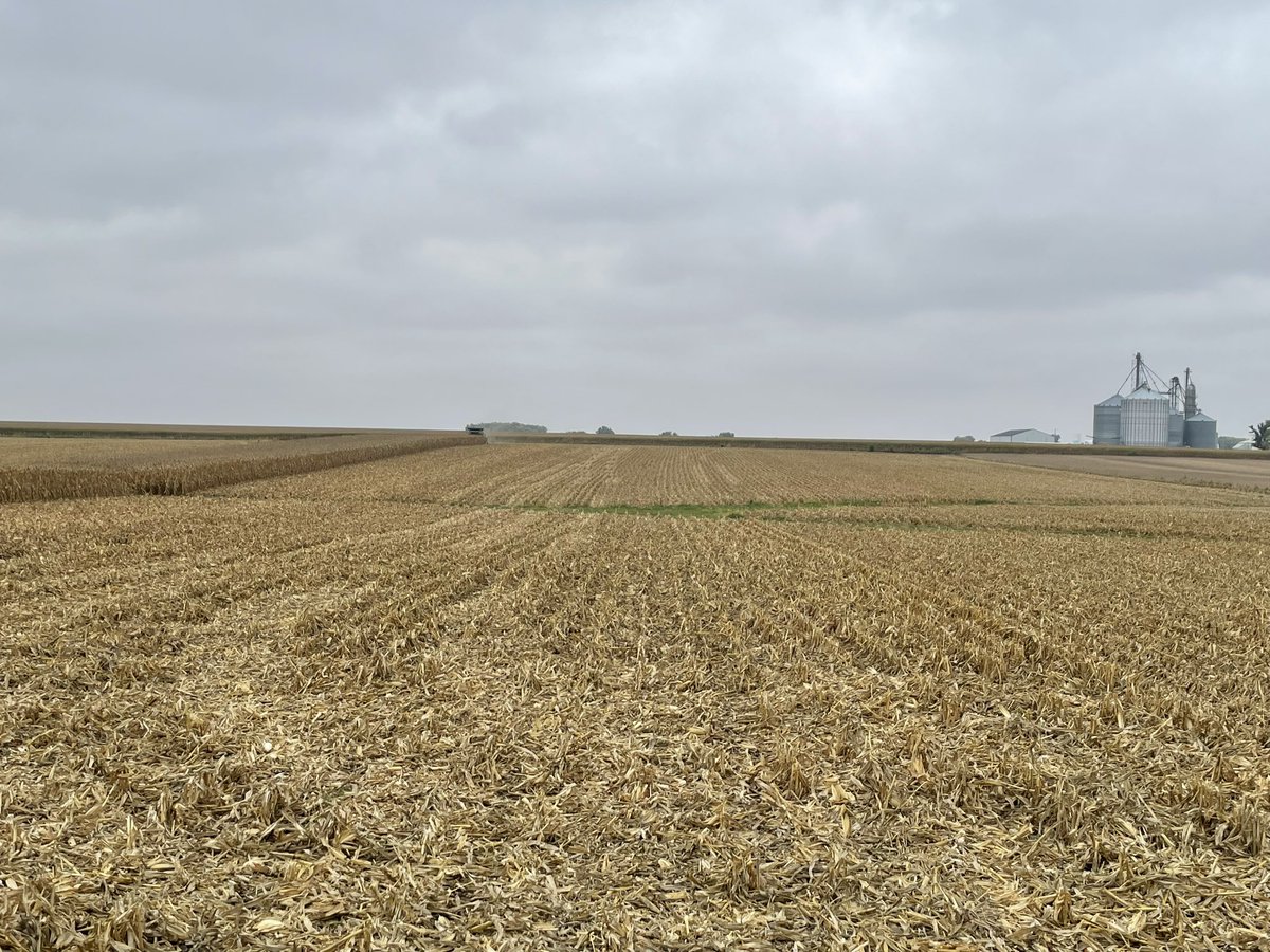 Zklaves's tweet image. Another Day another plot, or 2. Kruger K0019DT/ @ChannelSeed 200-70TRERIB picking up where it left off last year #channelingup