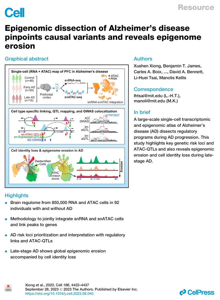 manoliskellis's tweet photo. Paper 2 by @Xushen18 @__ben_james__ #CarlesBoix et al reports the largest #SingleCell #Epigenomic atlas of #Alhzeimers across 850k #scATAC cells and 92 post-mortem samples, enabling: 
1. #RegulatoryGenomics of TF-Enhancer-TargetGene single-cell links by multi-omics integration and module analysis
2. #GWAS dissection of #AD #genetics loci in microglia and upstream TFs SPI1, ELF2, RUNX1
3. #scQTL analysis of ATAC-QTLs for AD variant circuitry and prioritization
4. #EpigenomeErosion in late-stage AD with global accessibility upheavals and cell identity loss
https://t.co/ztNJBEjrAO