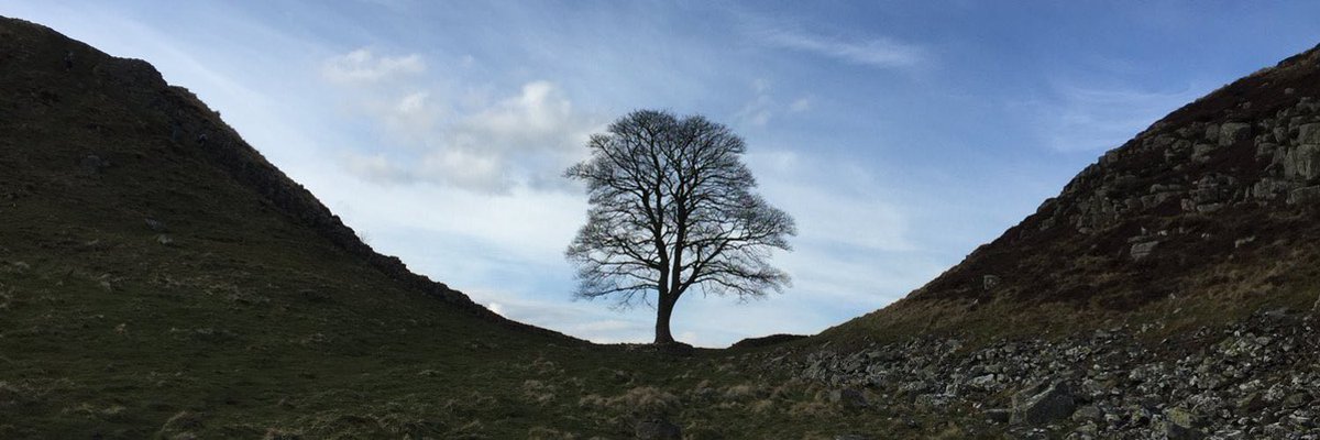 This photo has graced my account here for many years. This tree has meant so much to so many. It is so upsetting to see today’s news that the tree has been felled. Why? bbc.co.uk/news/uk-englan…