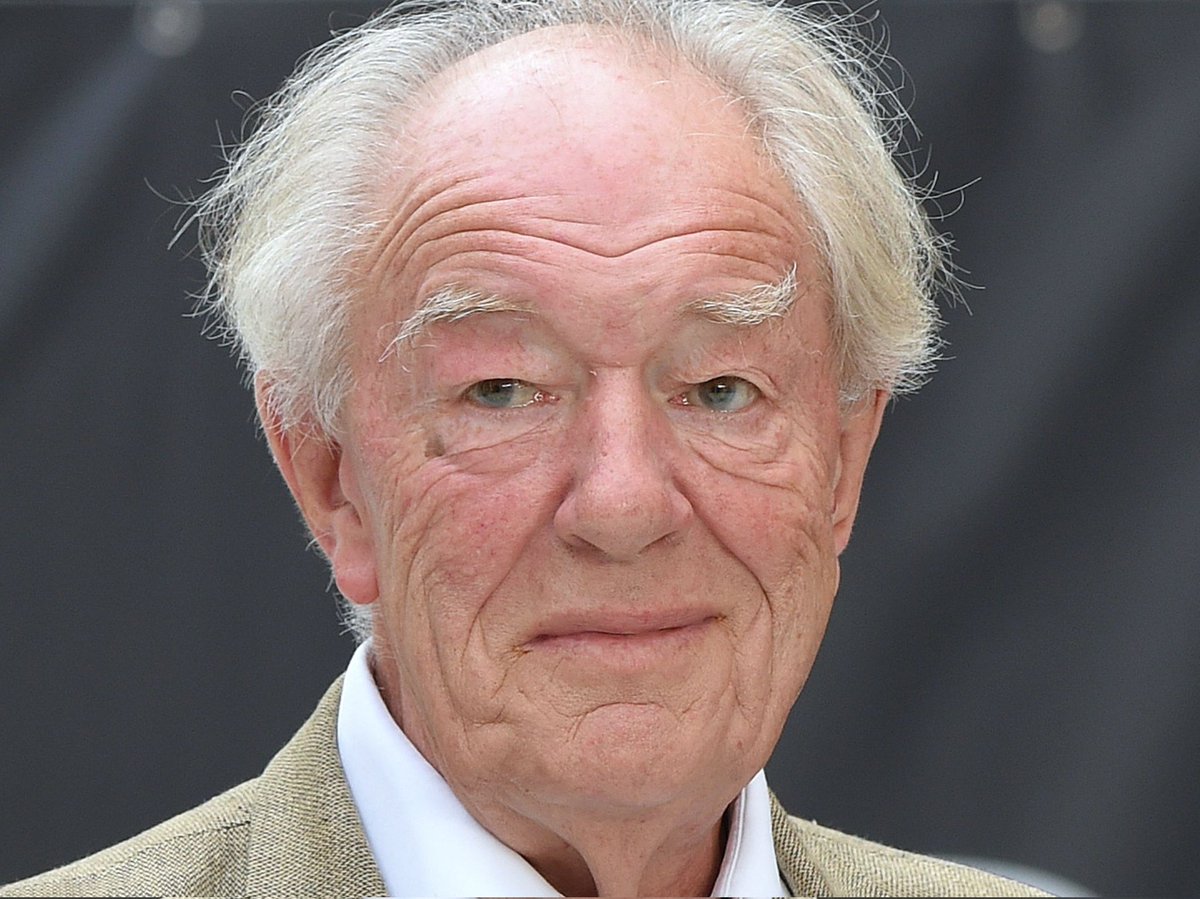 Nous venons d'apprendre le décès de Michael Gambon alias Albus Dumbledore (HP3 à HP7 Part 2), à l'âge de 82 ans.
#RIPMichaelGambon