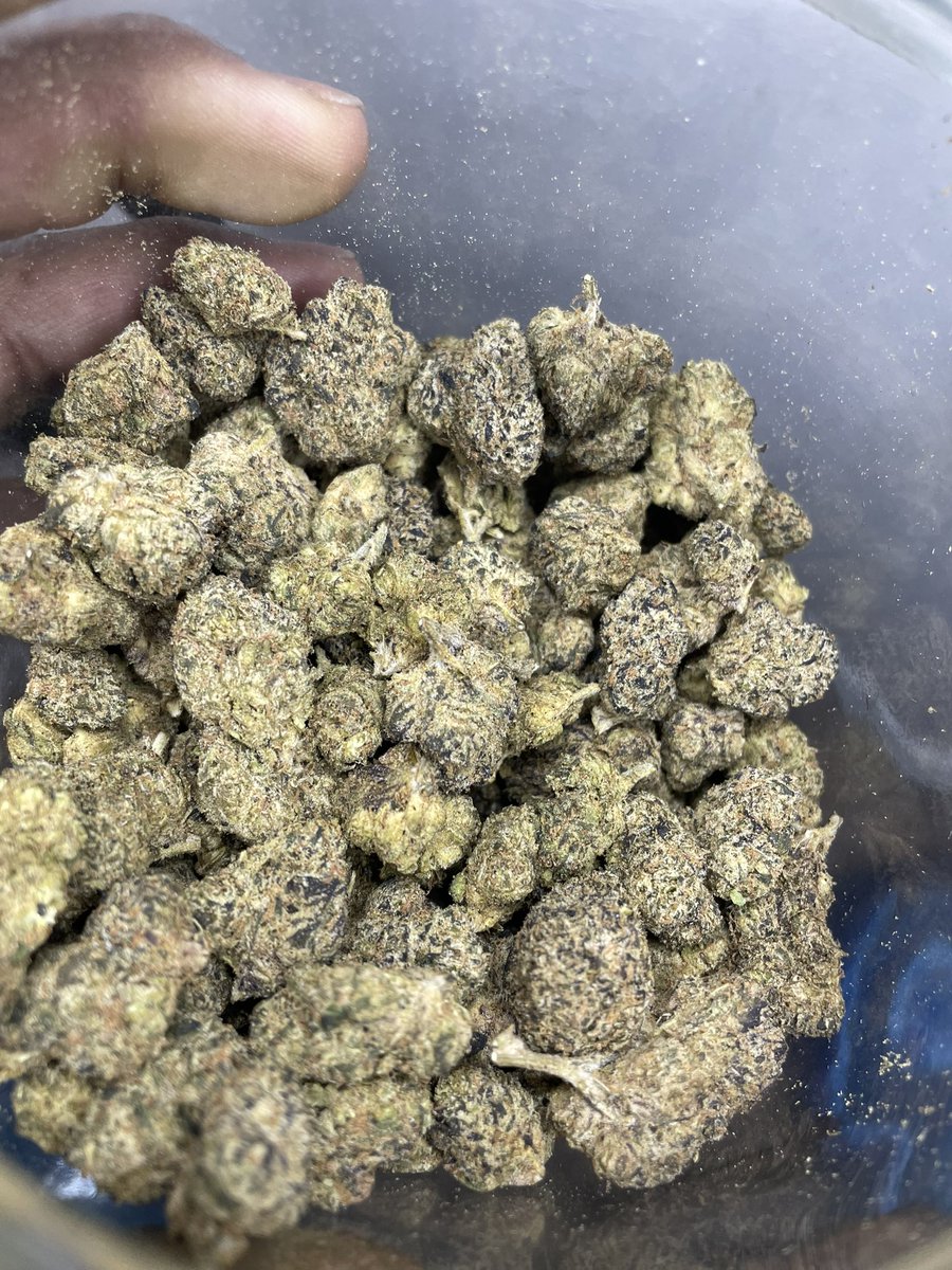 HoustonPlugGas's tweet image. White runtz⛽️ ⬜️⛽️#houstonplug #Houstonmeets #springplug #htx #houstonmeetup #houstongas #htxplug #htxgas #cypressplug #conroeplug #houstonfreaks #nfsw link in bio get with me for the deals ya heard