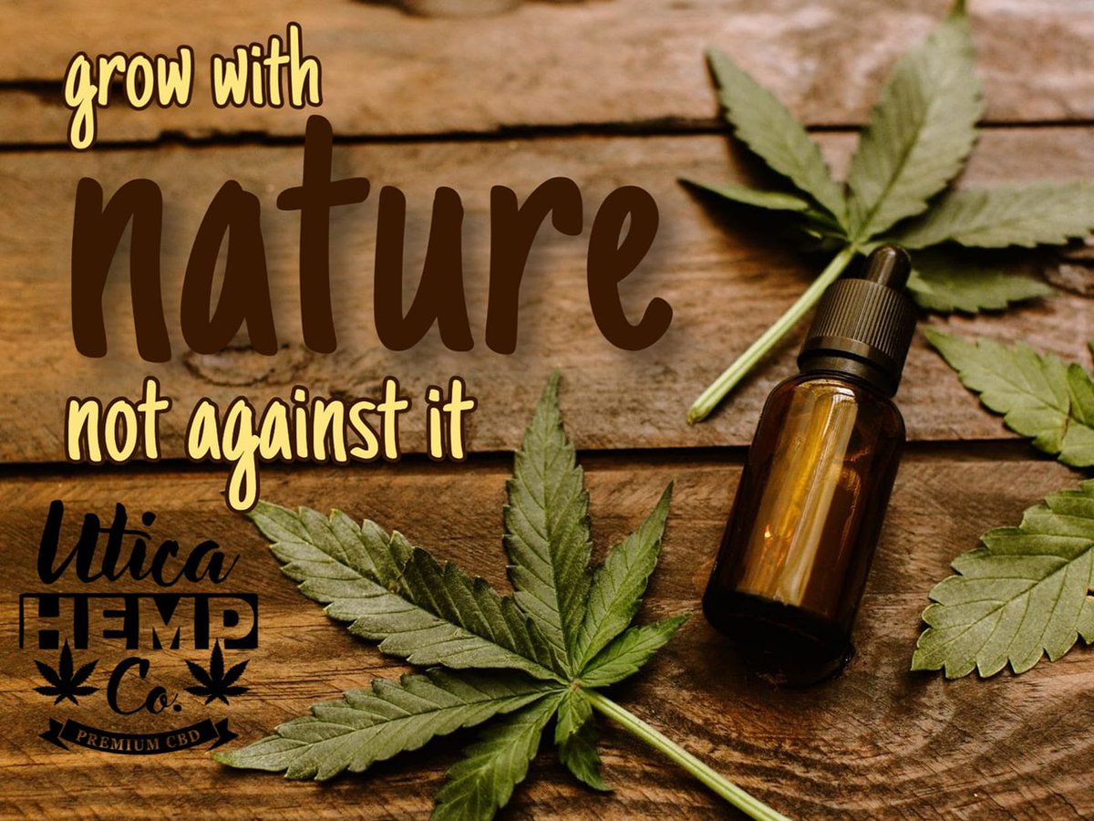 Did you know you can earn 5% cash back with every purchase?! Ask our Hemptender about our Loyalty Program and how you can start earning #Cannabucks today!!!