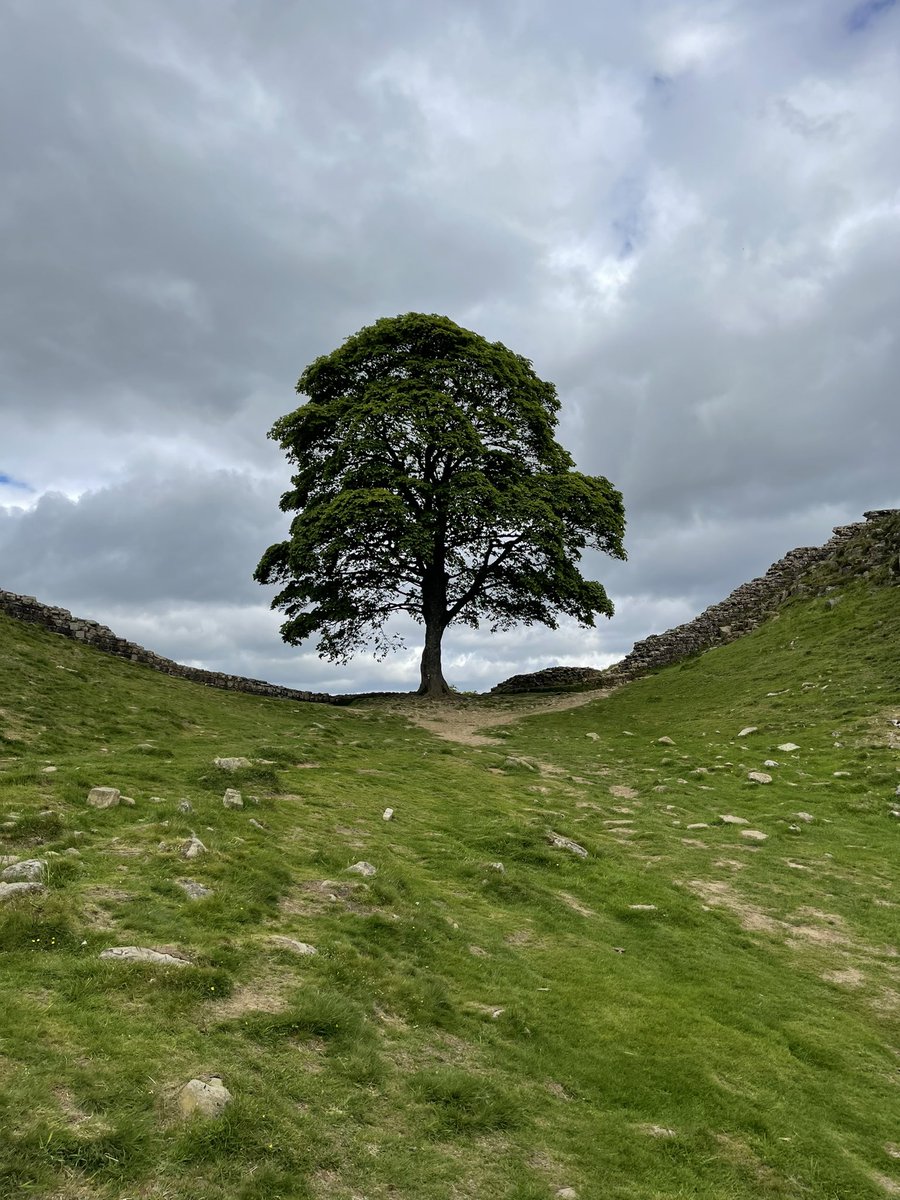 Mark Titman tweet media