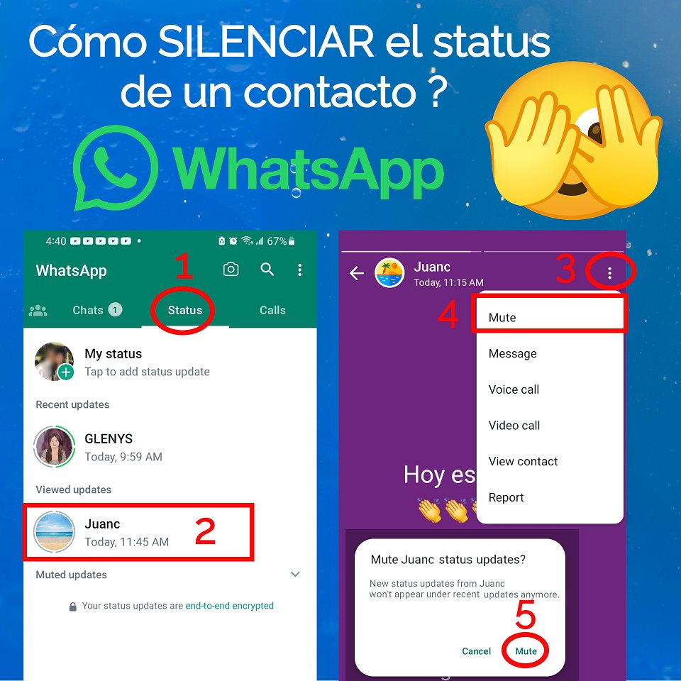 FloridaMerco's tweet image. 