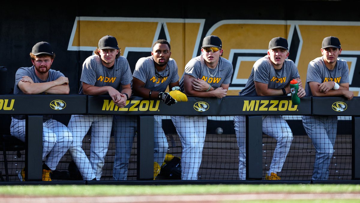 Mizzou Baseball tweet media