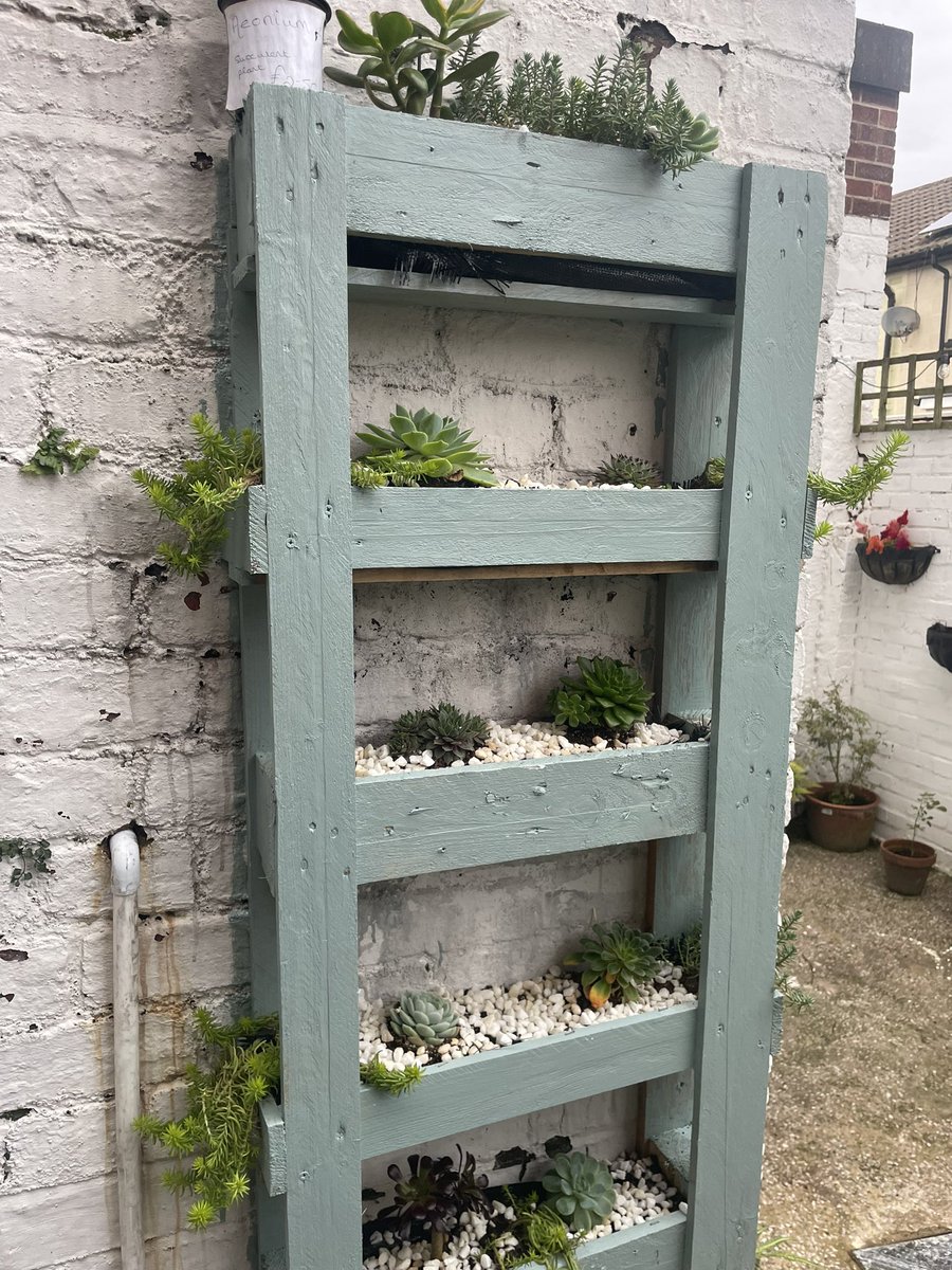 JWwakey's tweet photo. Yard all prepared for Winter now. Newest feature being the succulent pallet, all bought on my recent trip to Cornwall. The big bugger was a gift from my Aunty! https://t.co/DhOKhUQNIg