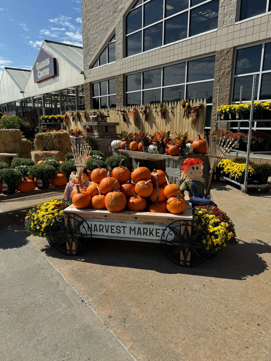 Lowes1106NB tweet media