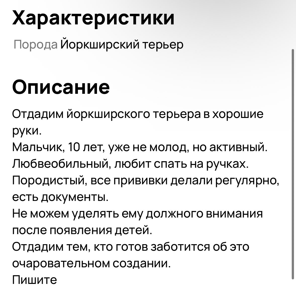 6171241's tweet photo. сука… вы прикиньте, 10 лет прожить с собакой, чтобы потом её отдать))))) я не представляю что в голове у этих ебланов https://t.co/pBeNDKyHaX