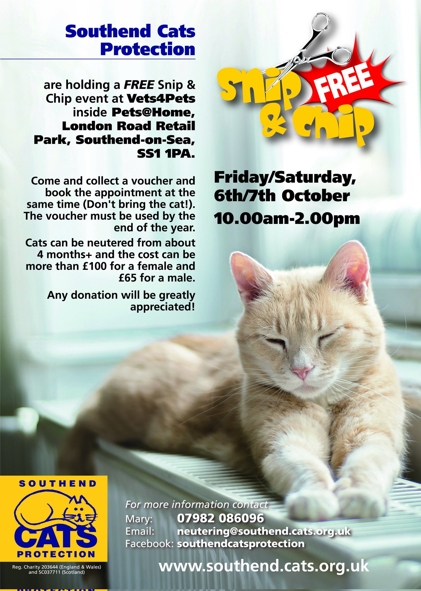 Cat neutering cost vets4pets 2025