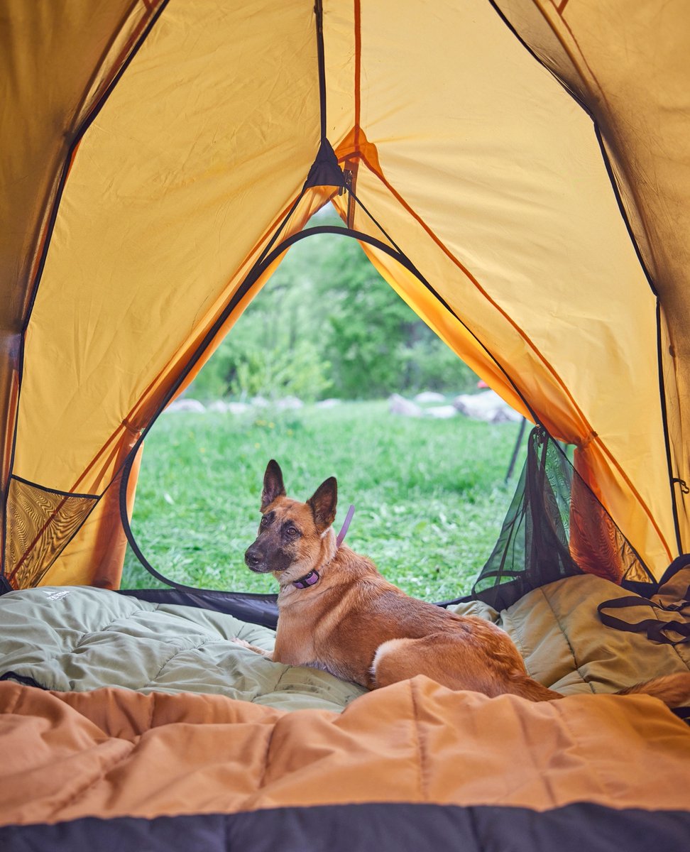 tetongear's tweet photo. 🍂 Embrace the beauty of fall with our Mountain Ultra Tent – a gear favorite for autumn adventurers! Up to 40% off until 9/30 - now is the perfect time to snag one and elevate your outdoor experience.
#tetonsports #falladventure https://t.co/MrNbtXLAWu
