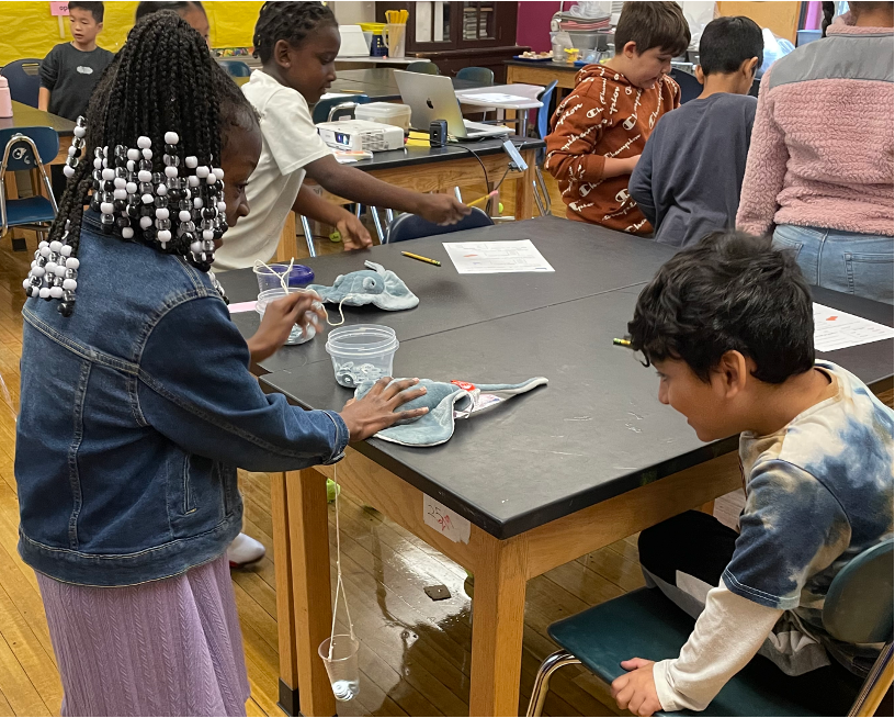 Science Engineering Education Development (SEED) tweet media