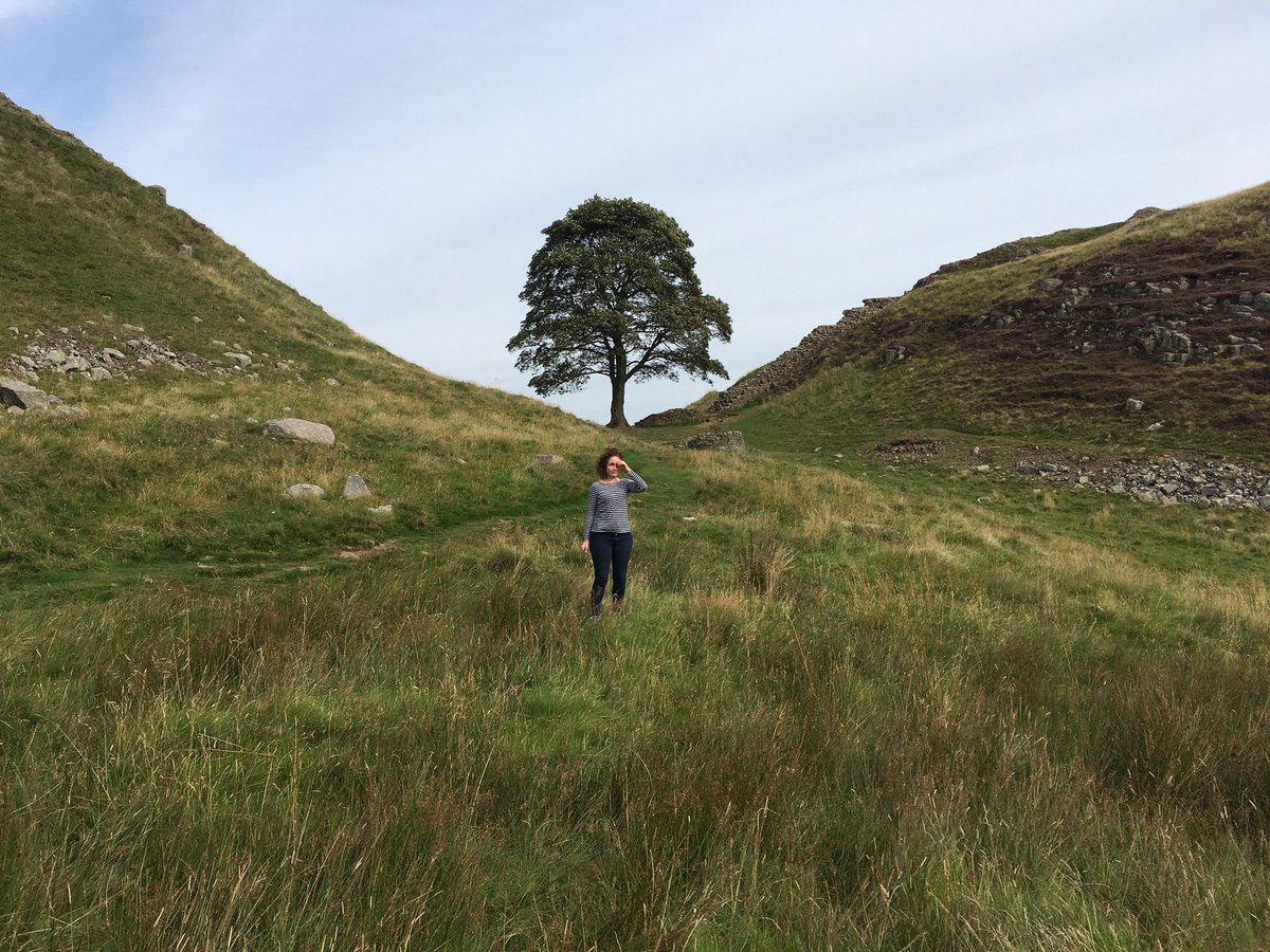 Thea_Bea_'s tweet photo. @WoodlandTrust The insignificant little figue in the foreground was me, 2017 😔 https://t.co/K1xl4U4B3r