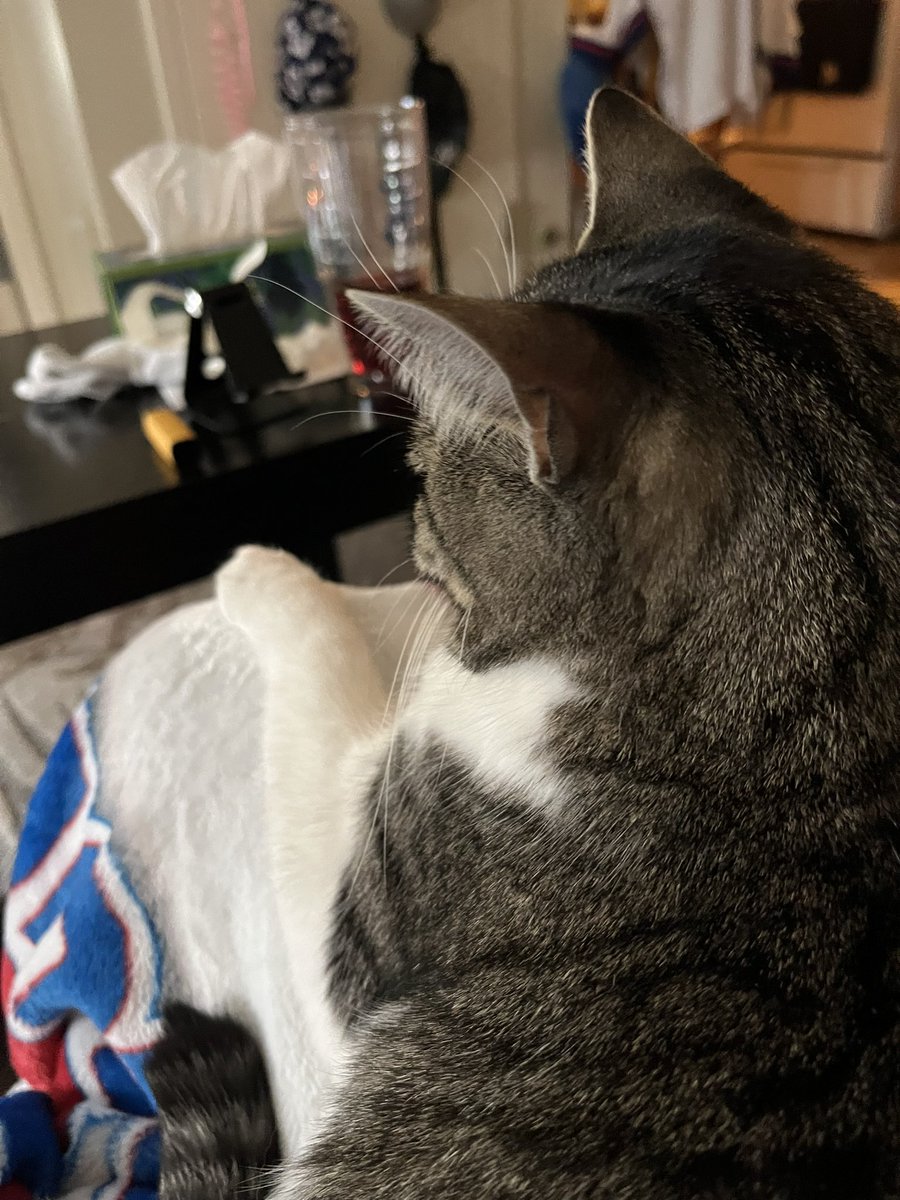 Salvester001's tweet photo. I’m home but Yogi won’t let me relax 😻 #SonOfABeach https://t.co/QIc8cjwO5G