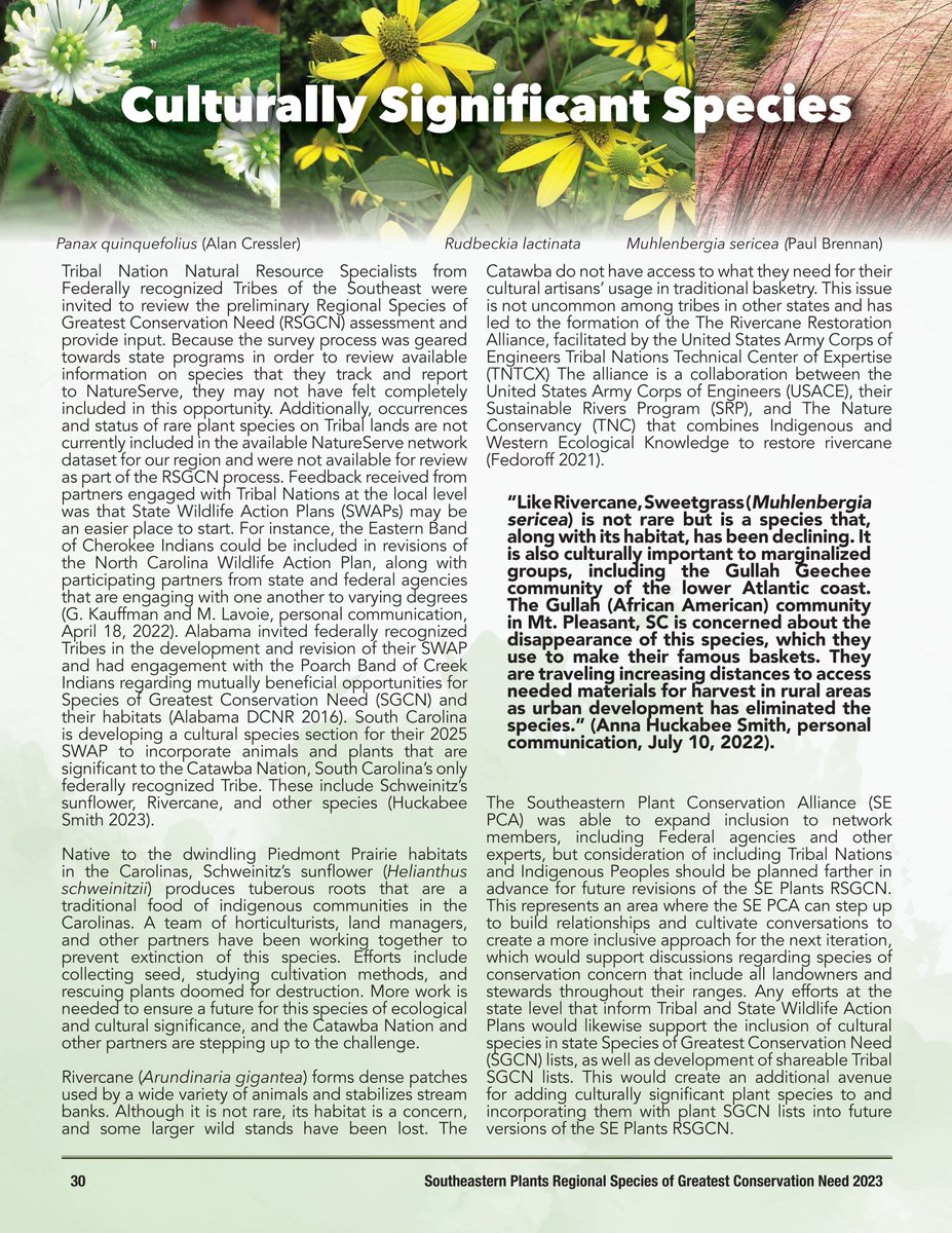 The SE Plants RSGCN Report is online and in print!
This collaboration represents a phenomenal amount of work by several individuals and institutions. 
Thank you, WAR Graphic Arts, for the beautiful design.
se-pca.org/southeastern-p…