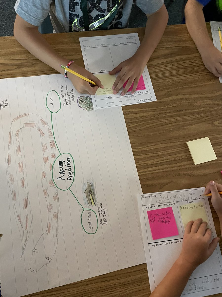 Ashley Findlay tweet media