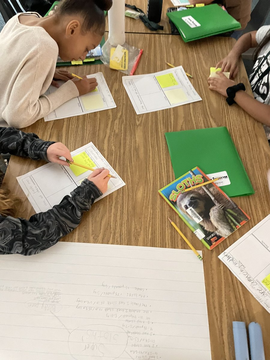 Ashley Findlay tweet media