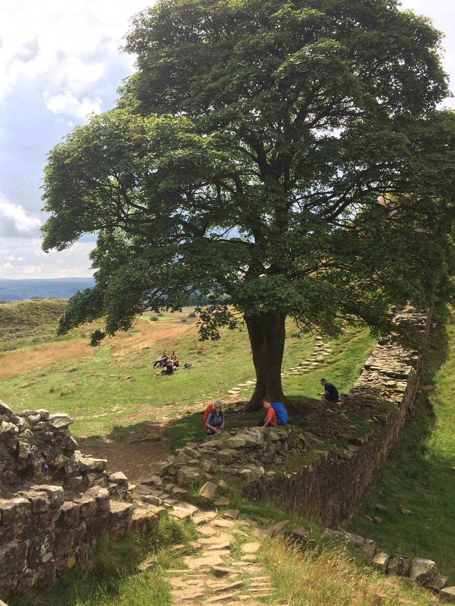 AV1673's tweet photo. To whoever chopped down that tree: may you rot in hell! My mother (75), son (10) and I walked the entire HWP in 2019. It was magical. During the pandemic we watched the pictures of our trip over &amp; over. Shame on you for depriving others of that joy! #SycamoreGap #SycamoreGapTree https://t.co/BQrlMtCXBg