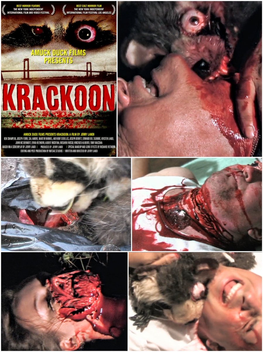 KRACKOON #コカインベア の13年も前に作られてたガンギマリ系アニマルホラー！ 胃の中にヤクを隠してた売人の死体をもぐもぐしたアライグマちゃんがラリッ(アライ)グマになって人間どもを襲うよ 全身は絶対に見せてくれない恥ずかしがり屋のアライグマちゃん可愛い♡🦝 Z級にしてはグロ頑張ってる