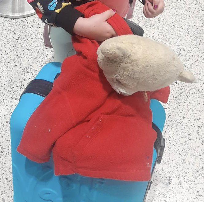 BAD_WOLF1985's tweet photo. Last seen 26/09/23 @ReusAirport and MTS Globe Transfers. Petter’s not just a teddy but beloved family member who has been passed down from Mother to Daughter for years and is dearly missed. If found please bring to airports lost and found or if seen leave message 🙏 #findpeter https://t.co/V4enSf86BW