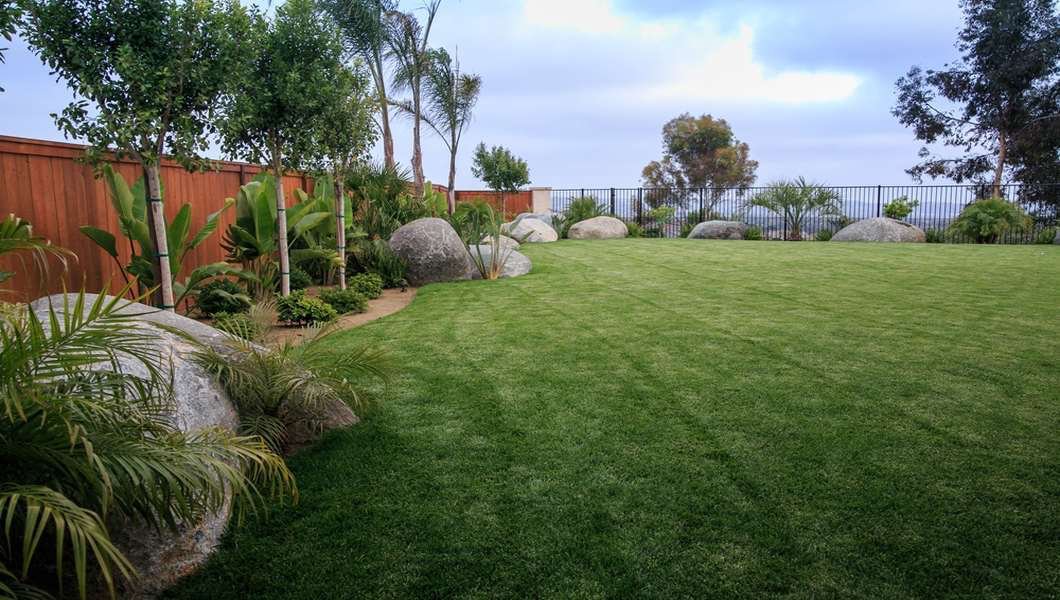 westerndesigns's tweet photo. Proper placements of boulders and smaller trees will carry your tropical theme throughout your property. 

#SanDiego #OrangeCounty #LandscapeArchitect #OutdoorLiving #Backyard #LandscapeDesigner #Remodel #Hardscape #Belgard #OutdoorKitchen #frontyard #tropicallandscape https://t.co/IAIFQ8hlPu