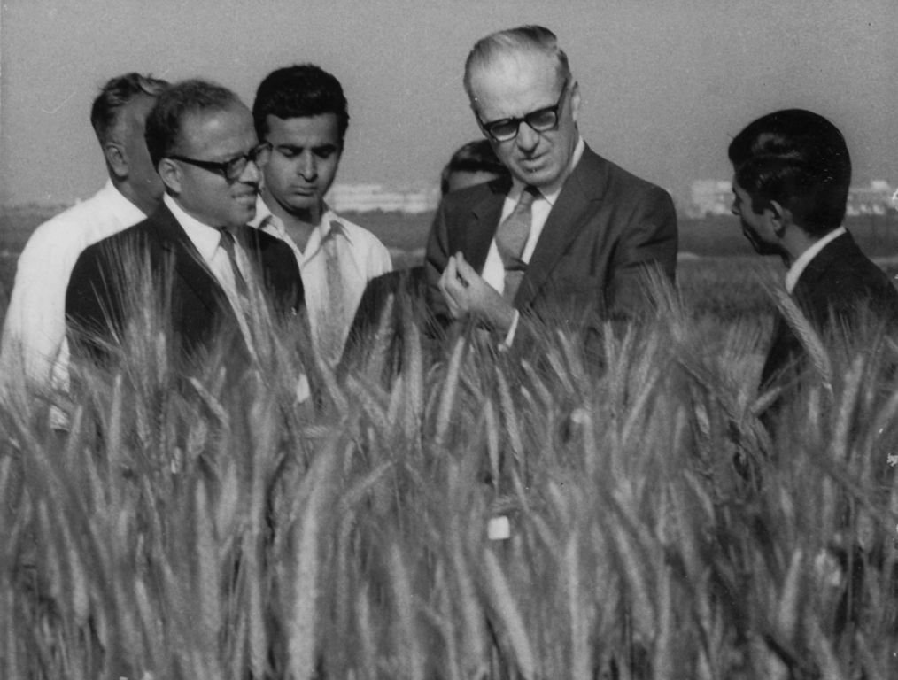 Architect of India’s green revolution M. S. Swaminathan passes away nature.com/articles/d4415…. <a href="/rajvarshney/">Rajeev Varshney FRS</a> writes a personal tribute.