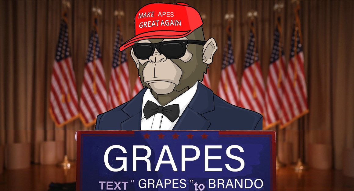 BuIIzNBearz's tweet photo. 🐵🇺🇸MAKE APES GREAT AGAIN🐵🇺🇸

Giving away some $USDT 

Like follow @grapes @ethmaxi @RooeyETH retweet tag 3

Drawing after 100 Retweets
#GrapesGang https://t.co/1AEeyX0Ejp