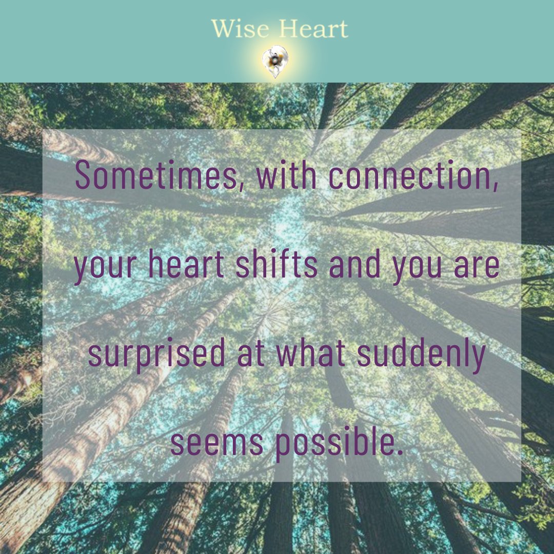 wiseheartpdx's tweet photo. It is exceptionally challenging to maintain a connection to your wholeness, authenticity, and choice, living in our current systems that promote fear, prejudice, scarcity and individualism...

You can read more here: https://t.co/G81QEVwGFc https://t.co/vamNSf74Ry