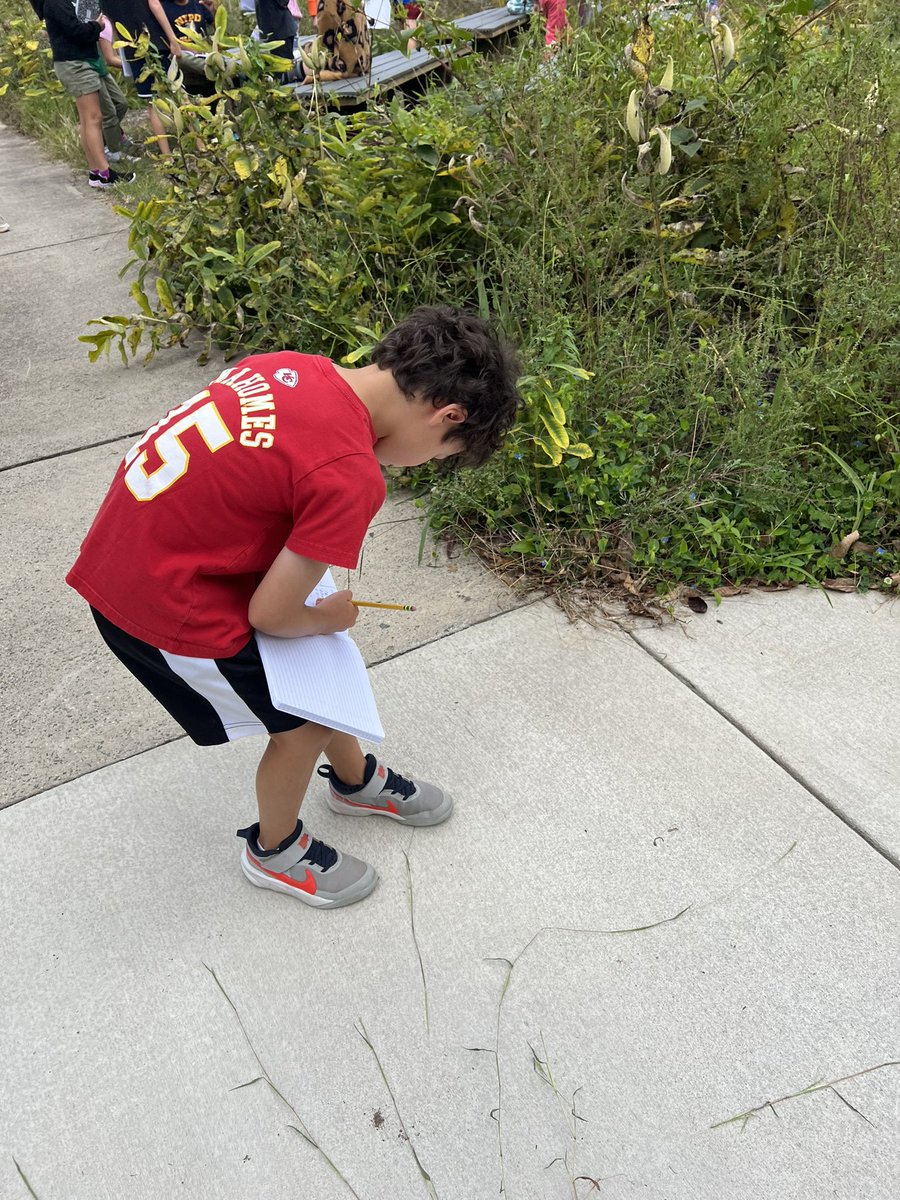 OwensOgres's tweet image. Putting our observation skills to work! #sciencing #learningshouldbefun