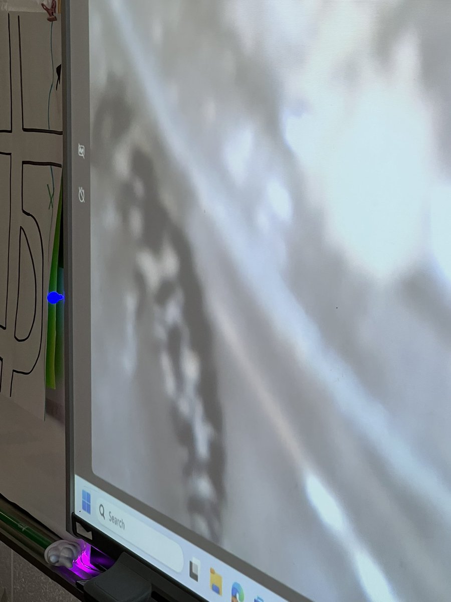 OwensOgres's tweet image. Putting our observation skills to work! #sciencing #learningshouldbefun