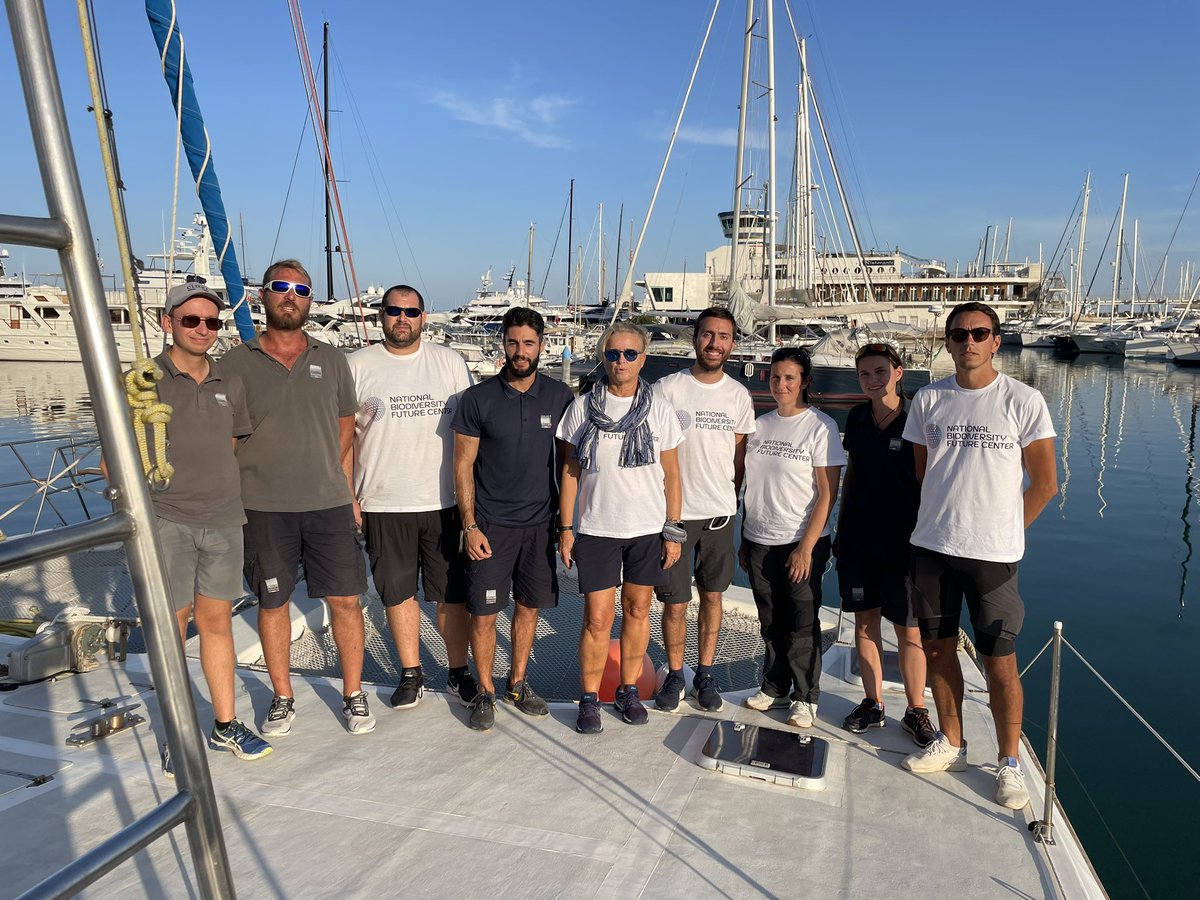 Plastic Busters tweet media