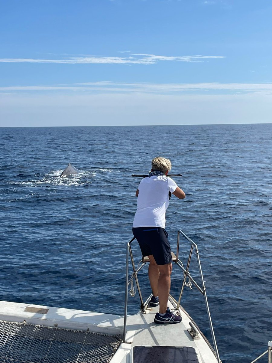 Joint activity of @unisiena and @CIMAFoundation in researching the effects of #emergingcontaminants in the sperm whales of the #Pelagos Sanctuary. Cutting-edge research within Spoke 2 of the @nbfc_italy 🐳 @PBCAP_EU @UfMSecretariat
