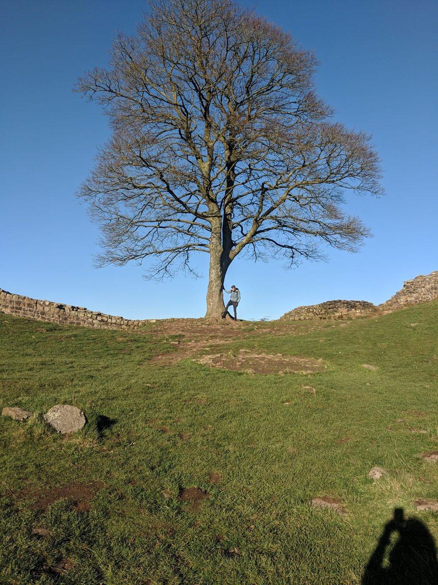 FirstGenBen's tweet image. It just makes no sense at all… who would get anything out of this… I was lucky enough to live close enough to see the Sycamore tree often, Steel Rigg to Housesteads being a personal favourite walk. This is devasting news. #SycamoreGap #Sycamore