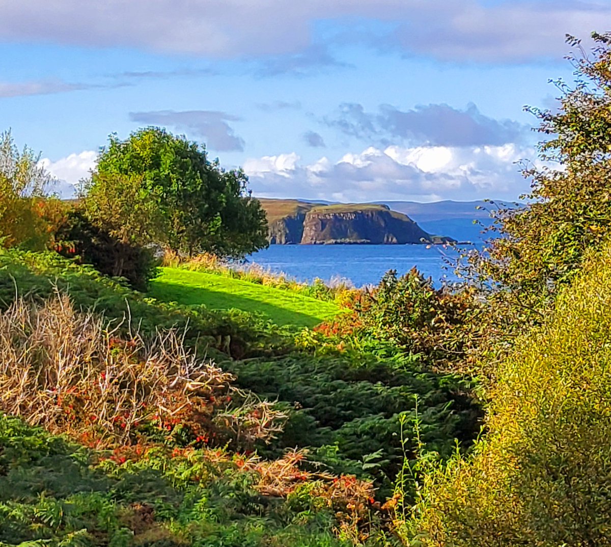 don_esson's tweet photo. #IsleofSkye #Uig
#Cuil #Earlish
“With all these lovely tokens of September days are here, with summers best of weather and the autumns best of cheer.”
Helen Hunt Jackson https://t.co/4gegMoBDXU