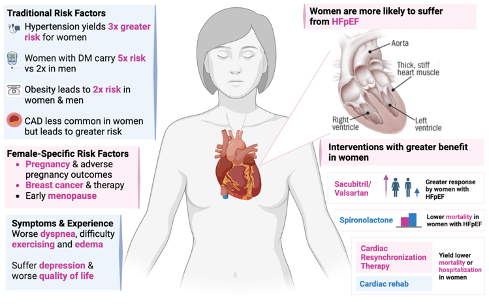Check out our review led by @BrighamMedRes superstar⭐️#@WIM @AlexSpacht on unique features of HF in women, out in this month's special CVD in Women issue of @ClimactericIMS. 👉:tandfonline.com/eprint/PQVB8VS…