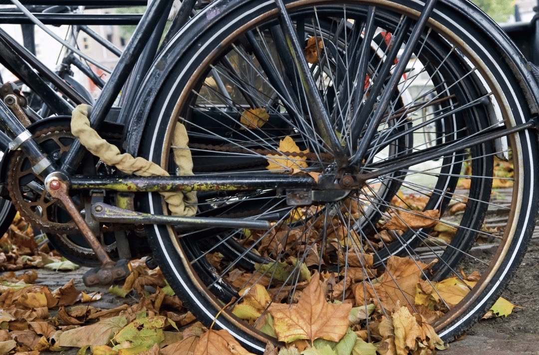 TonyLafazanis's tweet photo. As the weather starts to change, you may need to adjust how you ride. This could include cycling slower or bringing backup clothes. Read some fall cycling tips so you can stay safe: https://t.co/TW0X9fPmZf
#CyclingTips
#FallCycling
#CyclingSafety
#AccidentLawyer
#TLLawCanHelp https://t.co/u0G3zWblYY