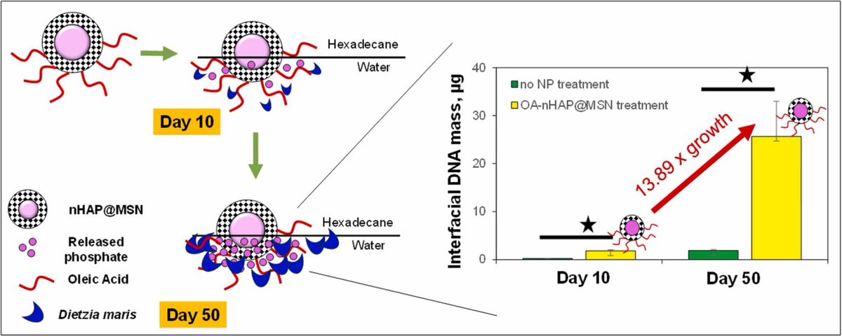 Nitin Khandelwal tweet media