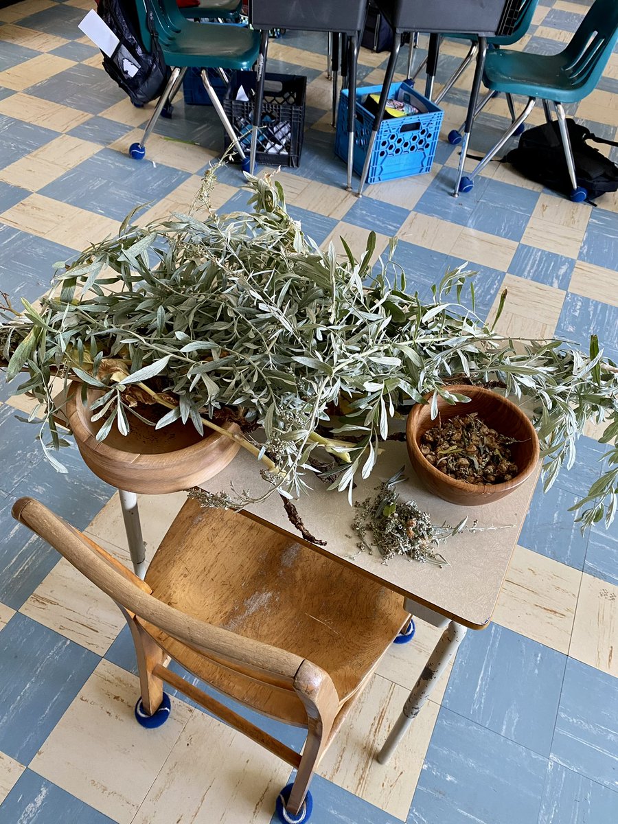 StAlexDragons's tweet photo. Our EcoSchool team harvesting from our #Stalexander garden. Great work team!!! #STAdragons @npsc_schools #WelcomeBackNPSC @CatholicEdu #houseofdragons #npscdsb https://t.co/ASmTBKuHg4