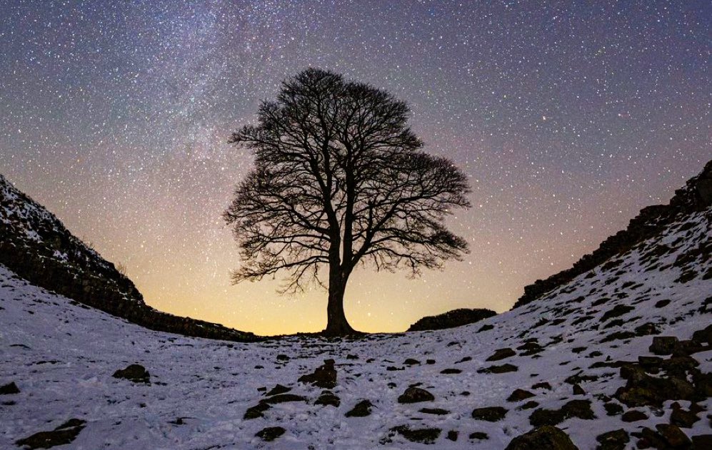 WoodspaWillow's tweet photo. Whilst we mourn the loss of the beautiful #SycamoreGap tree; can those who can (families, schools, businesses & communities) plant an indigenous tree seed or sapling near you? #TurnThisAround
Pass it on #001 #MultiplyHope
#ConnectTheSycamoreGap
#TreeOfTheYear
Shared images https://t.co/hTlRBDOZIg