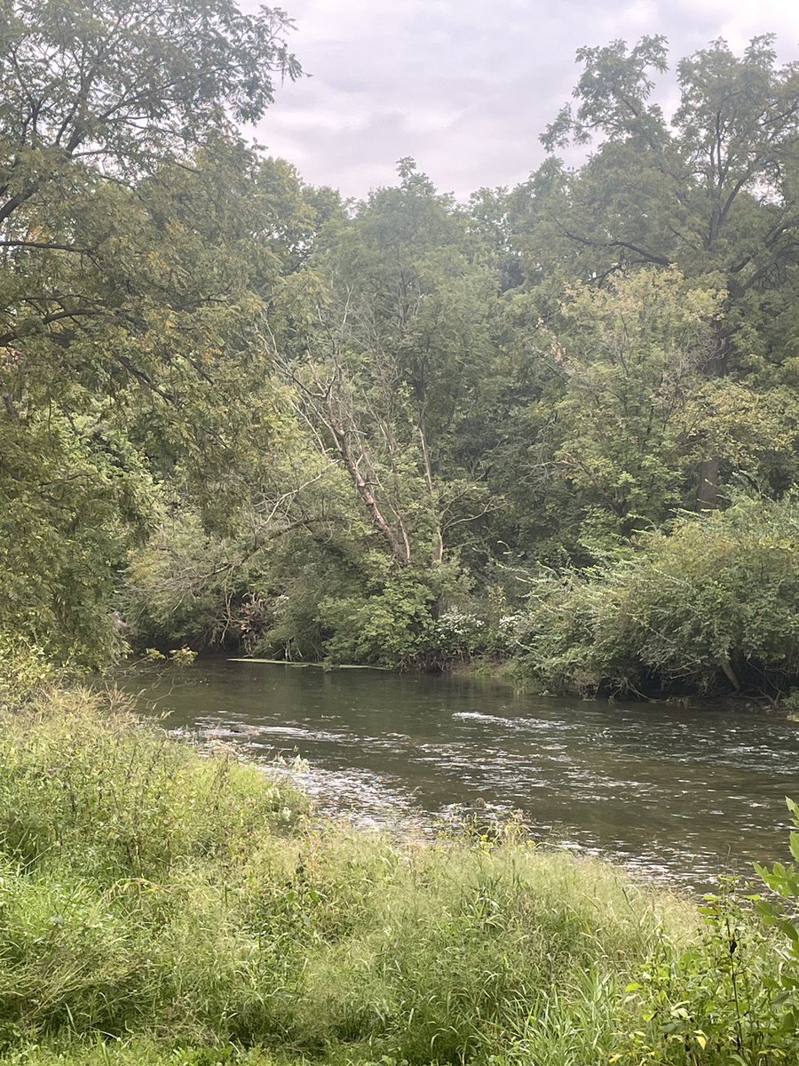 Todd Mertz tweet media