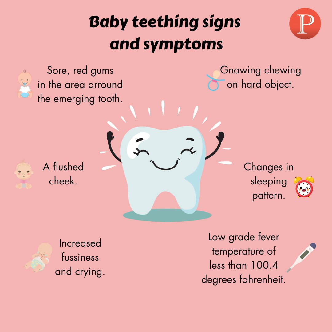 PremierPediER's tweet photo. Teething tends to happen at around 6 months of age, the same time that children naturally start to get sick more often. Visit https://t.co/lZCjcH4T0E for details whenever you're concerned. 
#DrAlana #PremierPediatrics #PediatricCare #EmergencyMedicine https://t.co/IYKBAh2bTX