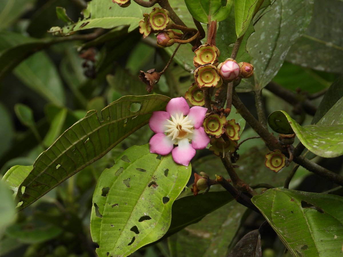 ash kerber tweet media