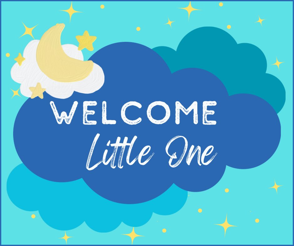 Representative Ellen Schutt tweet media