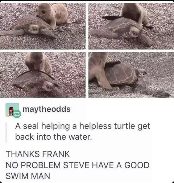 WholesomeMeme's tweet photo. https://t.co/KrutnRq9BS