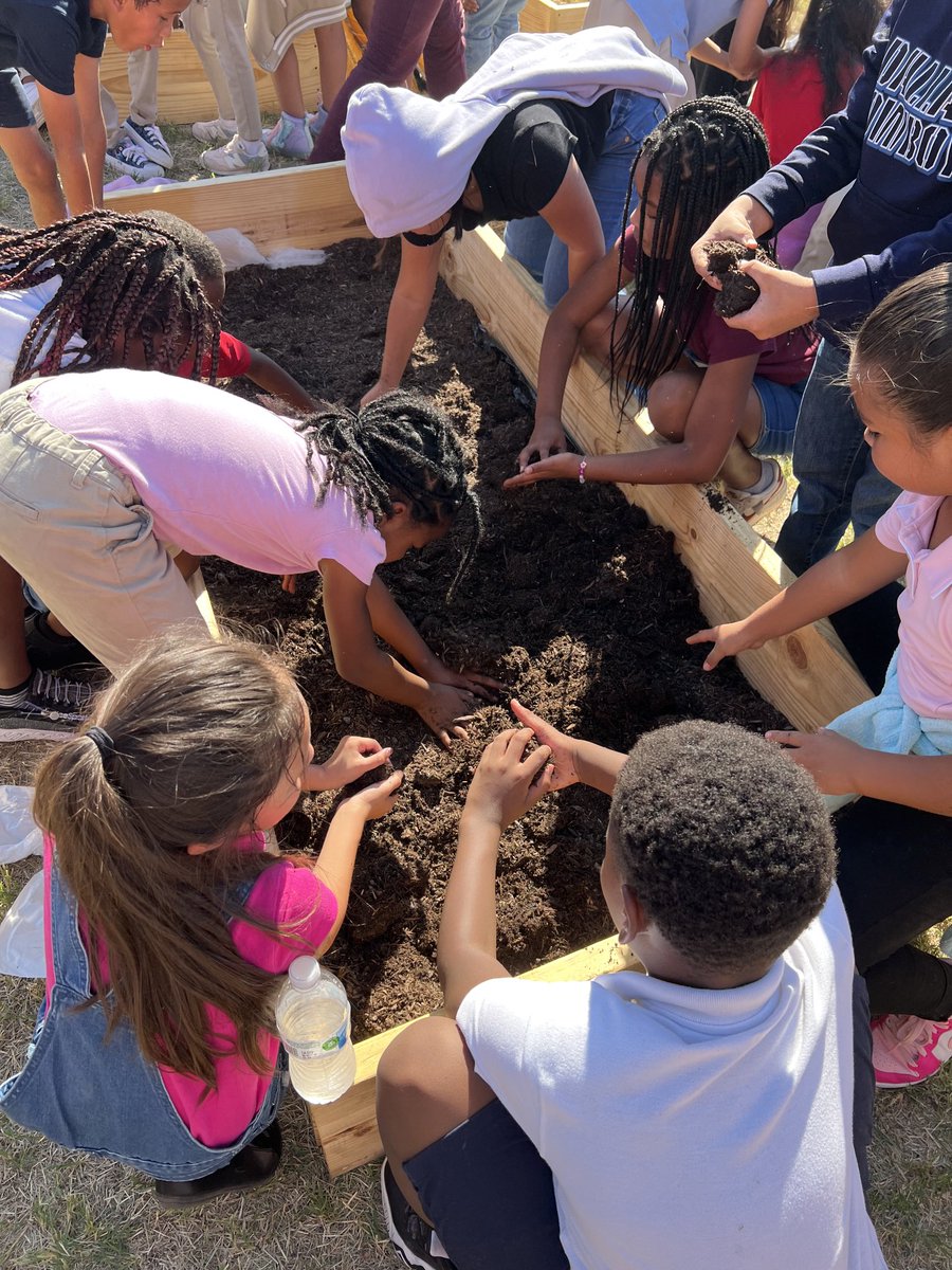 Dr. Hjamil A. Martínez-Vázquez tweet media