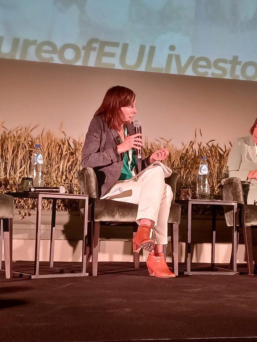 Camille Perrin tweet media